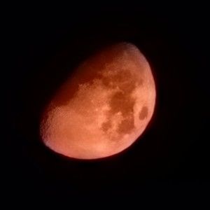 Meet your Posher, Eliana